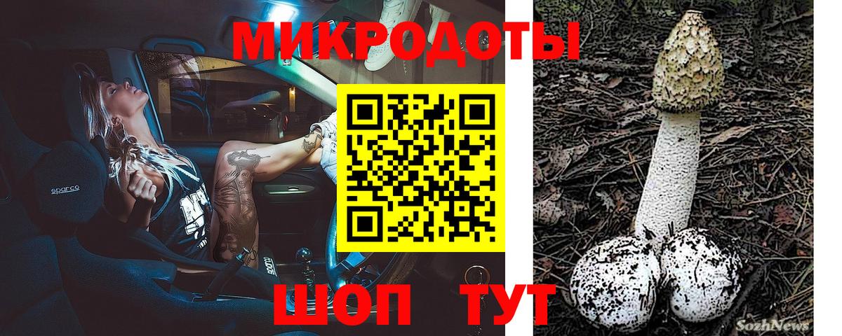 Псилоцибиновые грибы ЛСД Пенза