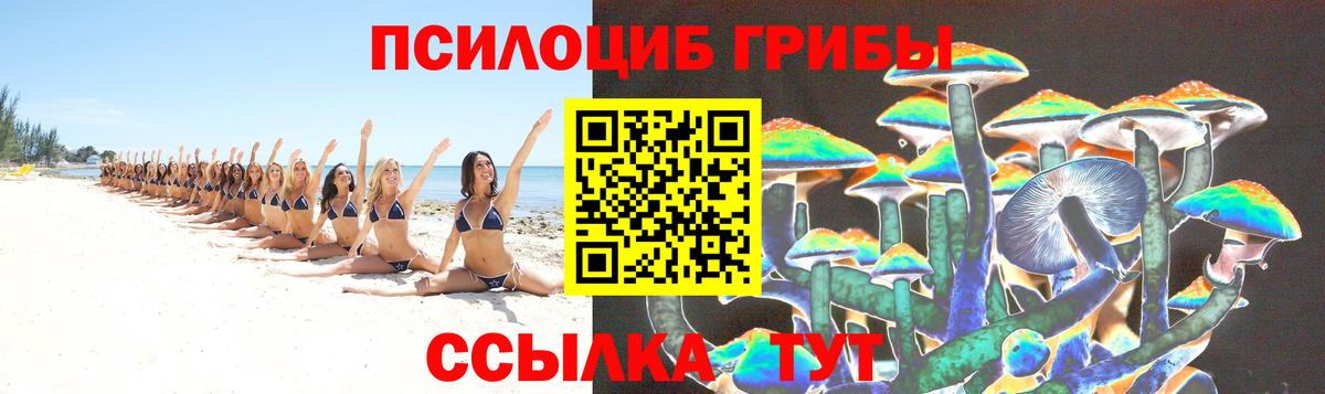 Пенза  купить  сайты  Вход с VPN  Галлюциногенные грибы мицелий  Галлюциногенные грибы Cubensis 